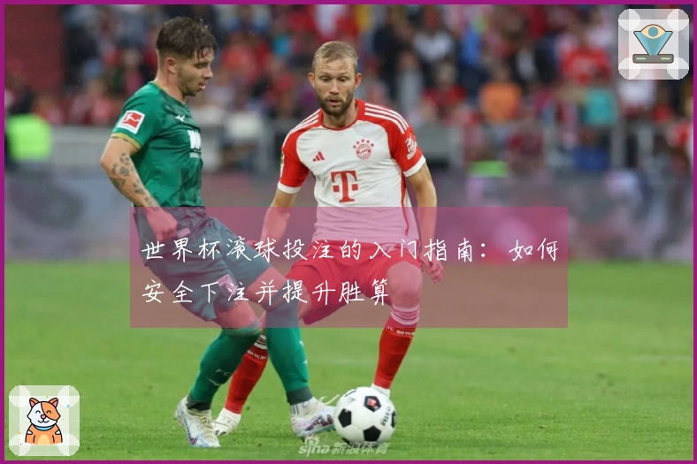 世界杯滚球投注的入门指南：如何安全下注并提升胜算