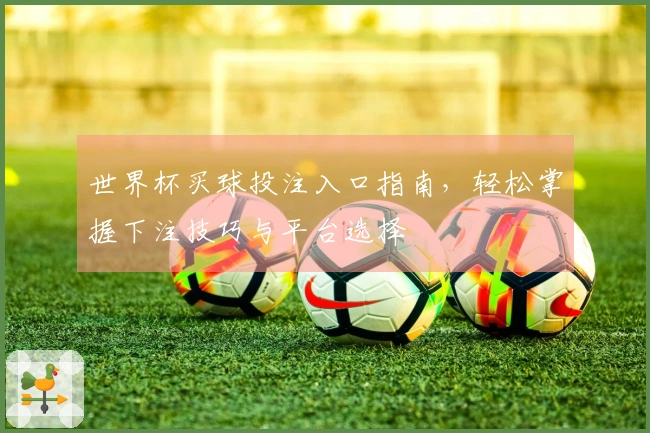 世界杯买球投注入口指南，轻松掌握下注技巧与平台选择