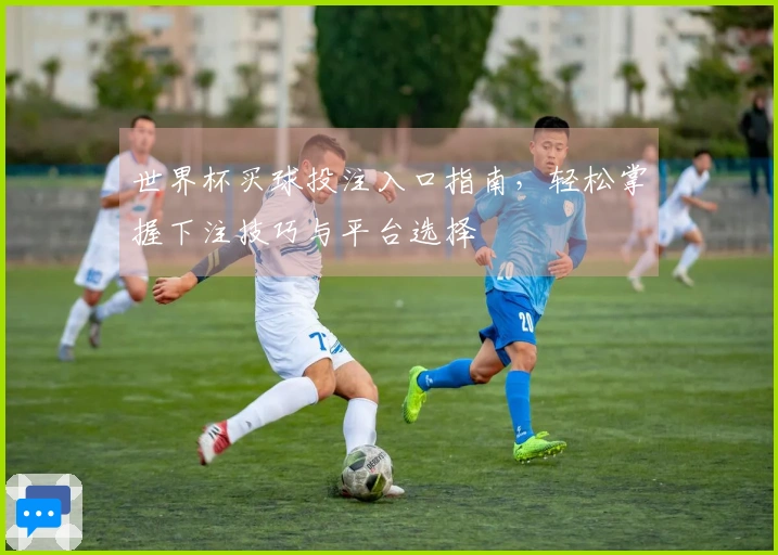世界杯买球投注入口指南，轻松掌握下注技巧与平台选择