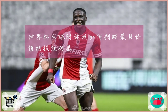 世界杯买球时你该如何判断最具价值的投注对象
